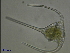  ( - cerat_BB_1_Dec18)  @13 [ ] Unspecified (default): All Rights Reserved  Unspecified Unspecified