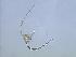  ( - cerat_torm_18_Jul7)  @13 [ ] Unspecified (default): All Rights Reserved  Unspecified Unspecified