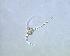 ( - cerat_torm_1_Jul7)  @12 [ ] Unspecified (default): All Rights Reserved  Unspecified Unspecified