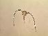  ( - cerat_torm_1_Jul3)  @12 [ ] Unspecified (default): All Rights Reserved  Unspecified Unspecified