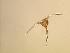  ( - cerat_torm_5_Jul3)  @13 [ ] Unspecified (default): All Rights Reserved  Unspecified Unspecified