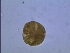  ( - PRSH1)  @12 [ ] Unspecified (default): All Rights Reserved  Unspecified Unspecified