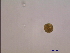  ( - PRSH1)  @12 [ ] Unspecified (default): All Rights Reserved  Unspecified Unspecified