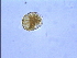  ( - PRSH3)  @12 [ ] Unspecified (default): All Rights Reserved  Unspecified Unspecified