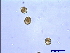  ( - PRSH3)  @12 [ ] Unspecified (default): All Rights Reserved  Unspecified Unspecified
