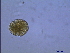  ( - PRSH3)  @12 [ ] Unspecified (default): All Rights Reserved  Unspecified Unspecified