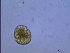  ( - PRSH3)  @12 [ ] Unspecified (default): All Rights Reserved  Unspecified Unspecified