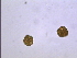  ( - PRSH4)  @12 [ ] Unspecified (default): All Rights Reserved  Unspecified Unspecified