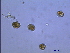  ( - PRSH5)  @12 [ ] Unspecified (default): All Rights Reserved  Unspecified Unspecified