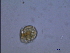  ( - PRSH5)  @11 [ ] Unspecified (default): All Rights Reserved  Unspecified Unspecified