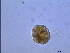  ( - PRSH6)  @12 [ ] Unspecified (default): All Rights Reserved  Unspecified Unspecified