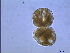  ( - PRSH6)  @12 [ ] Unspecified (default): All Rights Reserved  Unspecified Unspecified