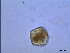  ( - PRSH6)  @12 [ ] Unspecified (default): All Rights Reserved  Unspecified Unspecified