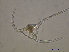  ( - STN2Bedford_cerat3 6/21/2006)  @12 [ ] Unspecified (default): All Rights Reserved  Unspecified Unspecified