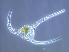  ( - STN2Bedford_cerat3 6/21/2006)  @13 [ ] Unspecified (default): All Rights Reserved  Unspecified Unspecified