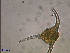  ( - cerat_BB_14 22/11/2006)  @12 [ ] Unspecified (default): All Rights Reserved  Unspecified Unspecified