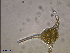  ( - cerat_BB_14 22/11/2006)  @12 [ ] Unspecified (default): All Rights Reserved  Unspecified Unspecified