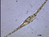  ( - cerat_BB_1 1/3/2007)  @12 [ ] Unspecified (default): All Rights Reserved  Unspecified Unspecified
