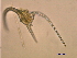  ( - cerat_BB_21_Aug23)  @12 [ ] Unspecified (default): All Rights Reserved  Unspecified Unspecified