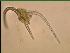  ( - cerat_BB_21_Aug23)  @12 [ ] Unspecified (default): All Rights Reserved  Unspecified Unspecified