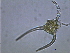  ( - cerat_BB_28_Aug23)  @13 [ ] Unspecified (default): All Rights Reserved  Unspecified Unspecified