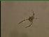  ( - cerat_BB_28_Aug23)  @12 [ ] Unspecified (default): All Rights Reserved  Unspecified Unspecified