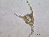  ( - cerat_BB_3 6/28/2006)  @12 [ ] Unspecified (default): All Rights Reserved  Unspecified Unspecified