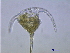  ( - cerat_PB_19_Aug15)  @12 [ ] Unspecified (default): All Rights Reserved  Unspecified Unspecified