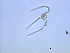  ( - cerat_shed_1 6/27/2006)  @12 [ ] Unspecified (default): All Rights Reserved  Unspecified Unspecified