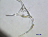 ( - cerat_torm_10jul20)  @12 [ ] Unspecified (default): All Rights Reserved  Unspecified Unspecified