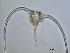  ( - cerat_torm_1_Jul3)  @12 [ ] Unspecified (default): All Rights Reserved  Unspecified Unspecified