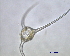  ( - cerat_torm_1_Jul7)  @12 [ ] Unspecified (default): All Rights Reserved  Unspecified Unspecified