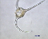  ( - cerat_torm_1_Jul7)  @12 [ ] Unspecified (default): All Rights Reserved  Unspecified Unspecified