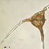  ( - cerat_torm_5_Jul3)  @12 [ ] Unspecified (default): All Rights Reserved  Unspecified Unspecified