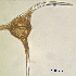  ( - cerat_torm_5_Jul3)  @12 [ ] Unspecified (default): All Rights Reserved  Unspecified Unspecified