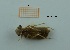  ( - MT27_Sfon_2018_1)  @11 [ ] CreativeCommons - Attribution Share-Alike (2019) Unspecified University of Lodz, Faculty of Biology and Environmental Protection