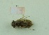  ( - MT56_Sfon_2018_2)  @11 [ ] CreativeCommons - Attribution Share-Alike (2019) Unspecified University of Lodz, Faculty of Biology and Environmental Protection