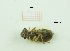  ( - MT5_Sfon_2018_1)  @11 [ ] CreativeCommons - Attribution Share-Alike (2019) Unspecified University of Lodz, Faculty of Biology and Environmental Protection