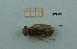  ( - MT58_Sfon_2018_2)  @11 [ ] CreativeCommons - Attribution Share-Alike (2019) Unspecified University of Lodz, Faculty of Biology and Environmental Protection