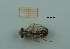  ( - MT68_Sfon_2018_1)  @11 [ ] CreativeCommons - Attribution Share-Alike (2019) Unspecified University of Lodz, Faculty of Biology and Environmental Protection