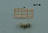  ( - MT68_Sfon_2018_3)  @11 [ ] CreativeCommons - Attribution Share-Alike (2019) Unspecified University of Lodz, Faculty of Biology and Environmental Protection