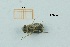  ( - MT6_Sfon_2018_2)  @11 [ ] CreativeCommons - Attribution Share-Alike (2019) Unspecified University of Lodz, Faculty of Biology and Environmental Protection
