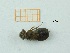 ( - MT6_Sfon_2018_3)  @11 [ ] CreativeCommons - Attribution Share-Alike (2019) Unspecified University of Lodz, Faculty of Biology and Environmental Protection