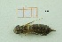  ( - MT1_Aimp_2018_4)  @11 [ ] CreativeCommons - Attribution Share-Alike (2019) Unspecified University of Lodz, Faculty of Biology and Environmental Protection