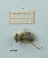  ( - MT44_Sfon_2018_3)  @11 [ ] CreativeCommons - Attribution Share-Alike (2019) Unspecified University of Lodz, Faculty of Biology and Environmental Protection