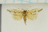  ( - MJP00089)  @11 [ ] CreativeCommons - Attribution Non-Commercial (2018) Marko Mutanen University of Oulu