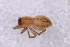  ( - MJR-01619)  @11 [ ] CreativeCommons - Attribution Non-Commercial Share-Alike (2015) Unspecified Museo Argentino de Ciencias Naturales