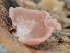  ( - PHM126)  @11 [ ] Copyright (2015) G D Khedkar Paul Hebert Centre For DNA Barcoding And Biodiversity Studies