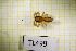  ( - TL0499)  @11 [ ] CreativeCommons Attribution NonCommercial ShareAlike (2021) (2025) University of Lodz University of Lodz