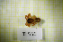 ( - TL0556)  @11 [ ] CreativeCommons Attribution NonCommercial ShareAlike (2021) (2025) University of Lodz University of Lodz